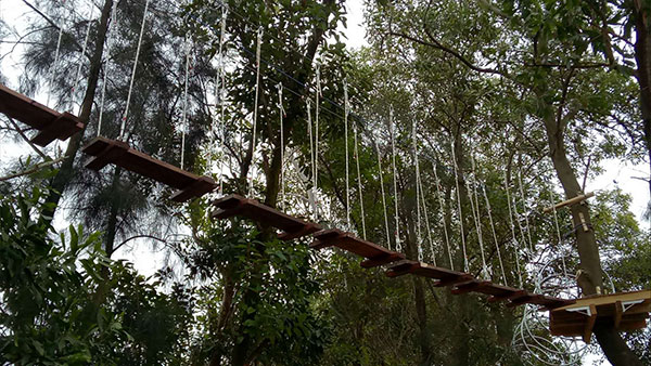 福建叢林穿越客戶(hù)感言